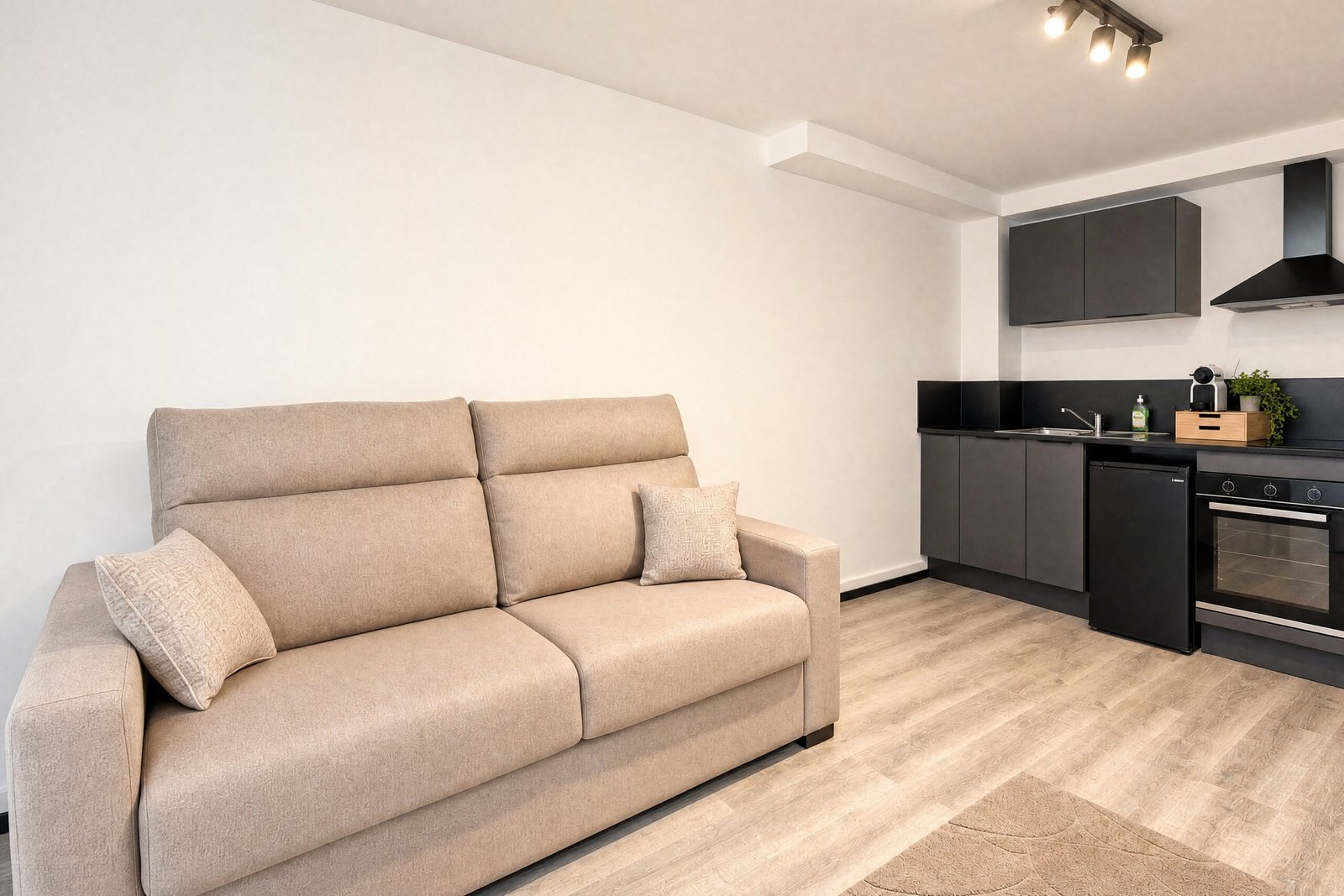 05-duplex-6-personnes-salon-canape-lit